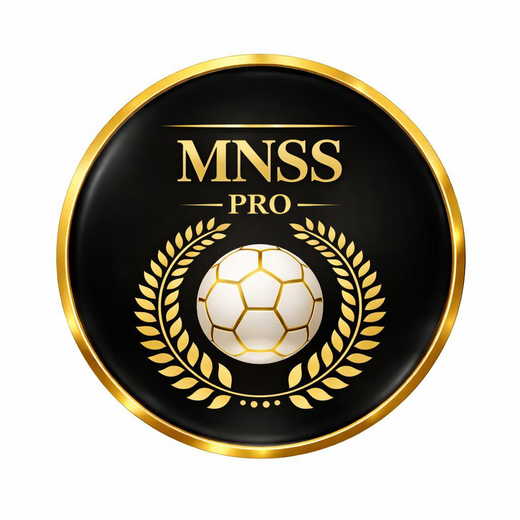 MNSS Academy